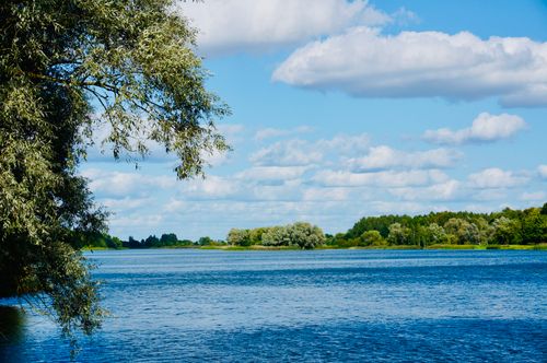 Free Tranquil lake scene in Niasviž, Belarus with vibrant greenery and a clear blue sky. Stock Photo