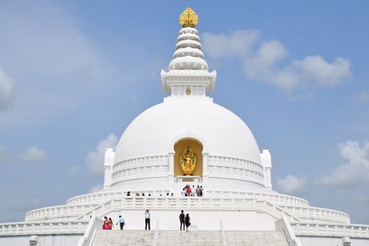 Peace Pagoda travel scene — cover for A Week in Darjeeling