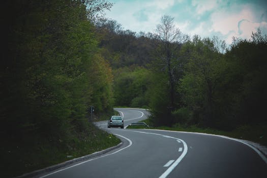 A car travels on a winding road through a tranquil forest scene.