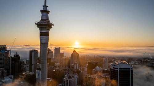 Sky Tower over Buildings in Auckland at Sunset