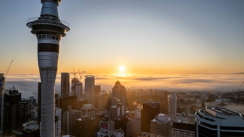 Downtown of Auckland at Foggy Sunrise