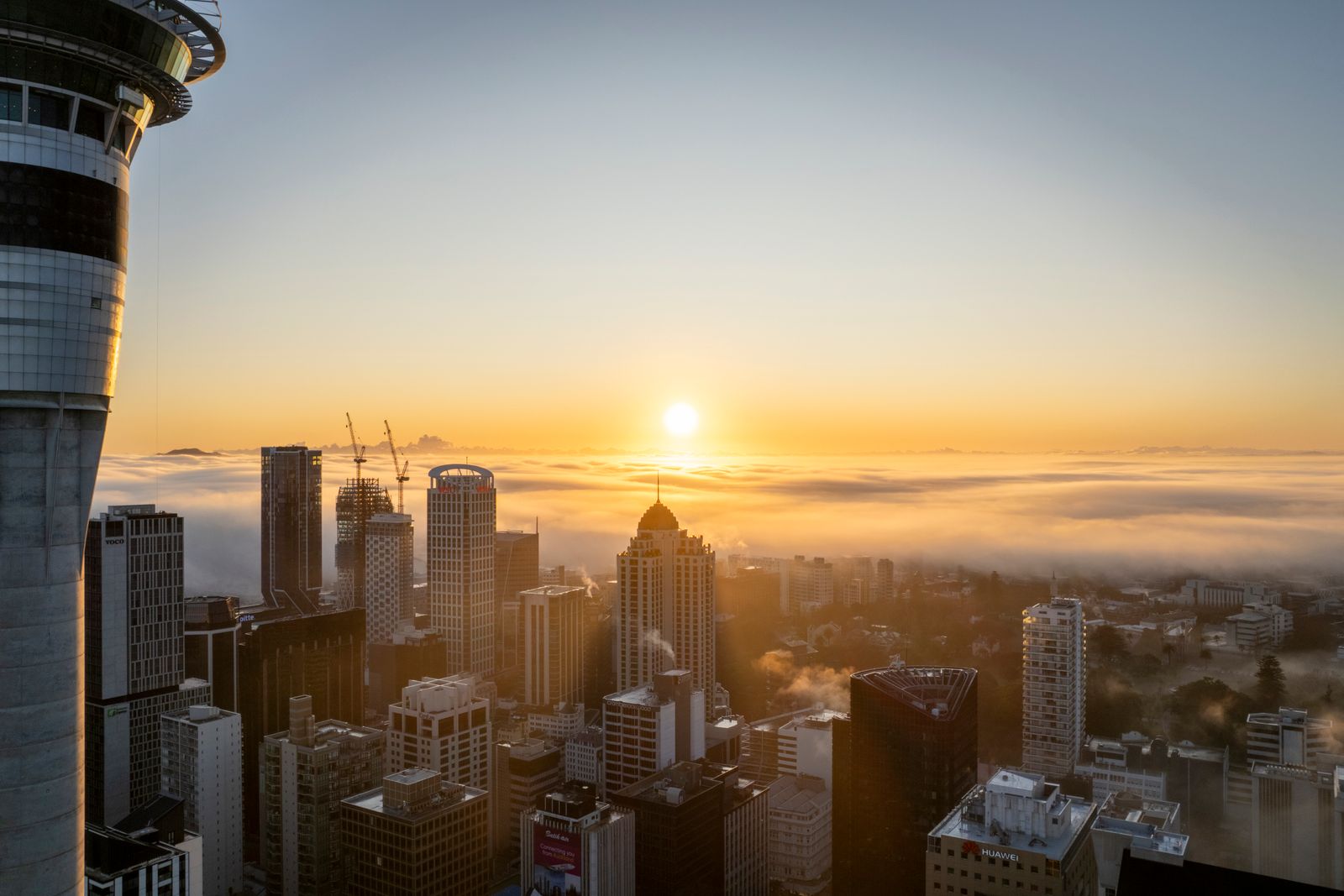 Where to Stay in Auckland (2026): Viaduct, CBD, Ponsonby, Waiheke Picks