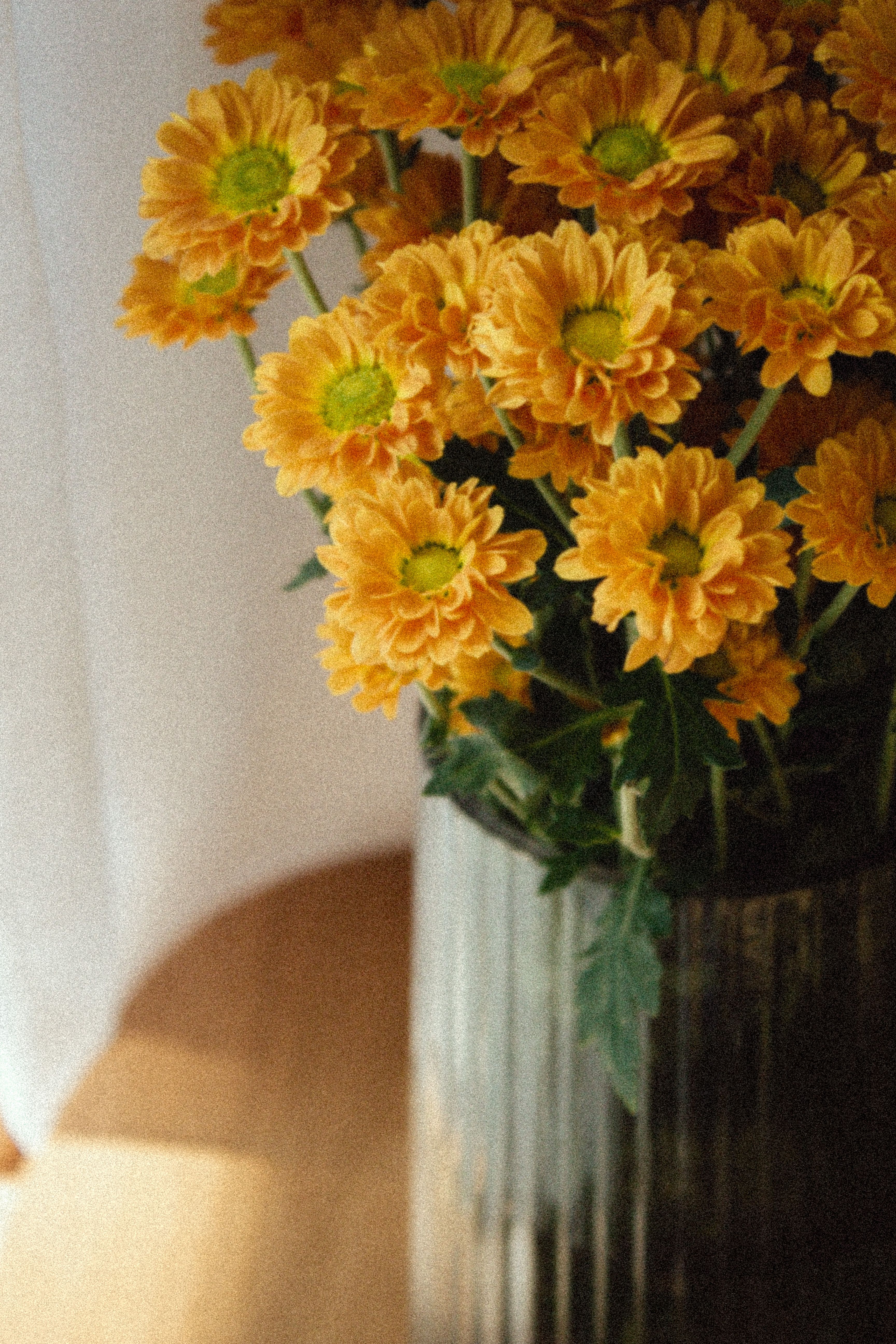 [ColoSach]-beautiful-close-up-of-yellow-chrysanthemums-in-a-glass-vase,-perfect-for-home-decor-inspiration.