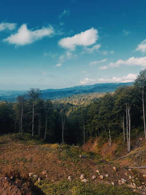 Free Breathtaking landscape of mountains and forest in Ambrolauri, Georgia, under a clear blue sky. Stock Photo