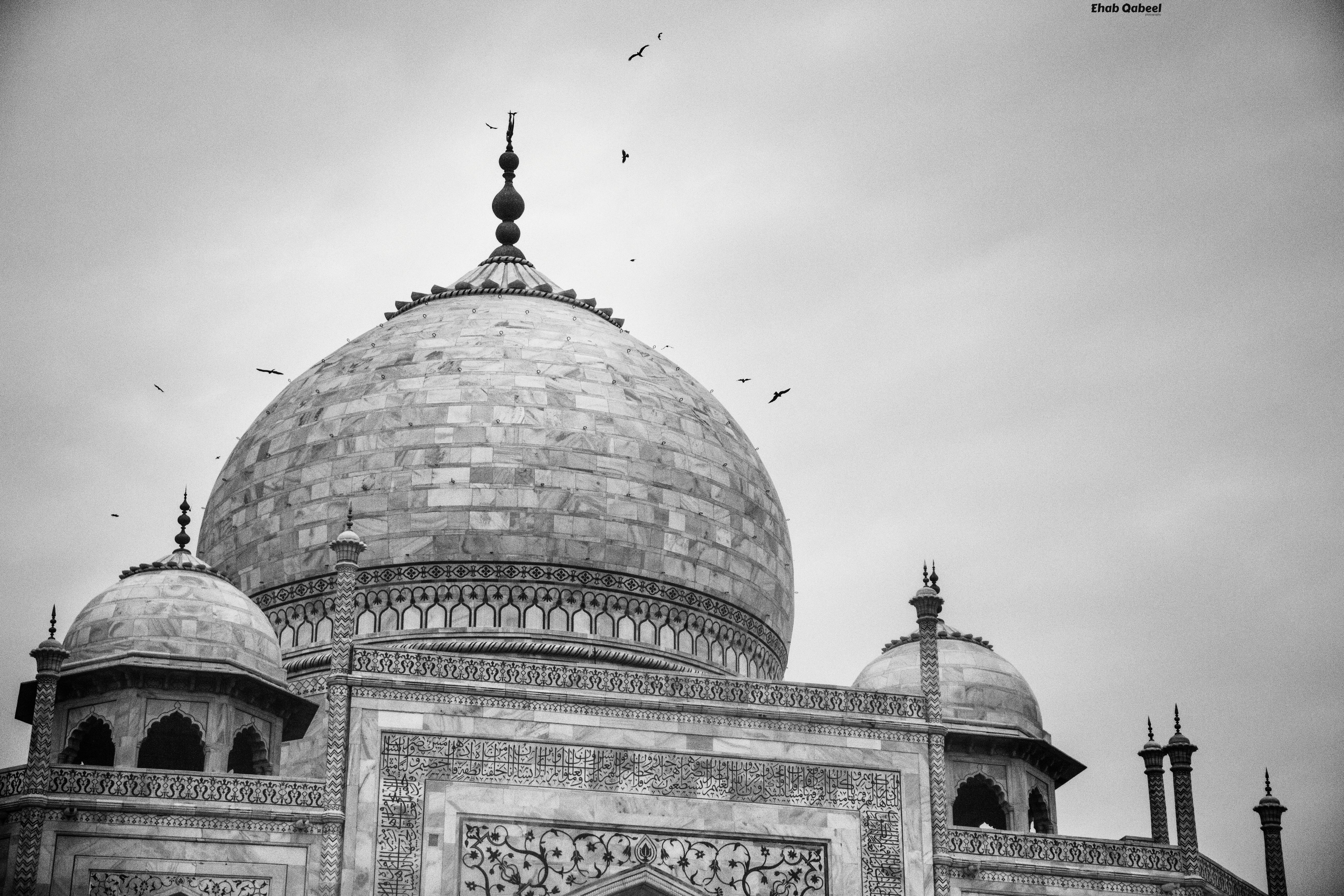 Free stock photo of architecture, black and white, india