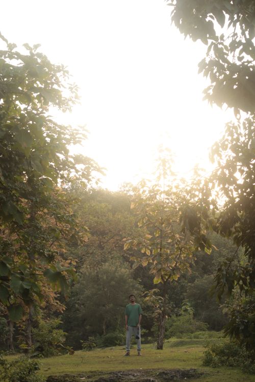 Free A man stands in a green t-shirt amidst a sunlit forest clearing, surrounded by trees. Stock Photo