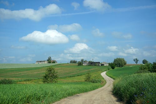 Twisted Rural Road Leading to Village among Green Field