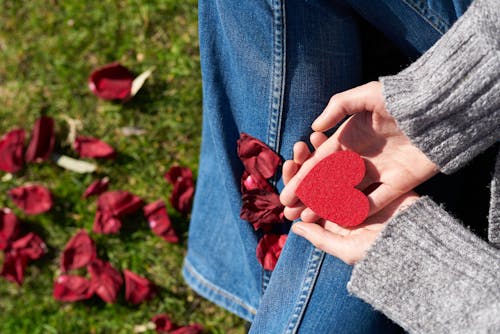 Person Holding Heart Shaped Cut Out