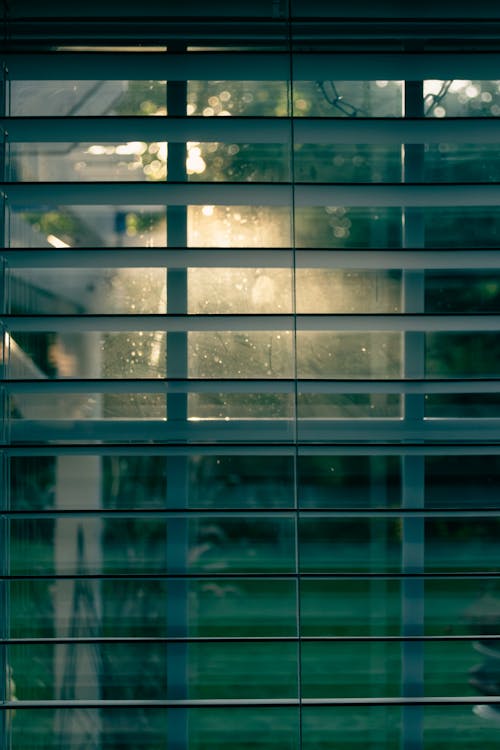 Free stock photo of blinds, dawn, window