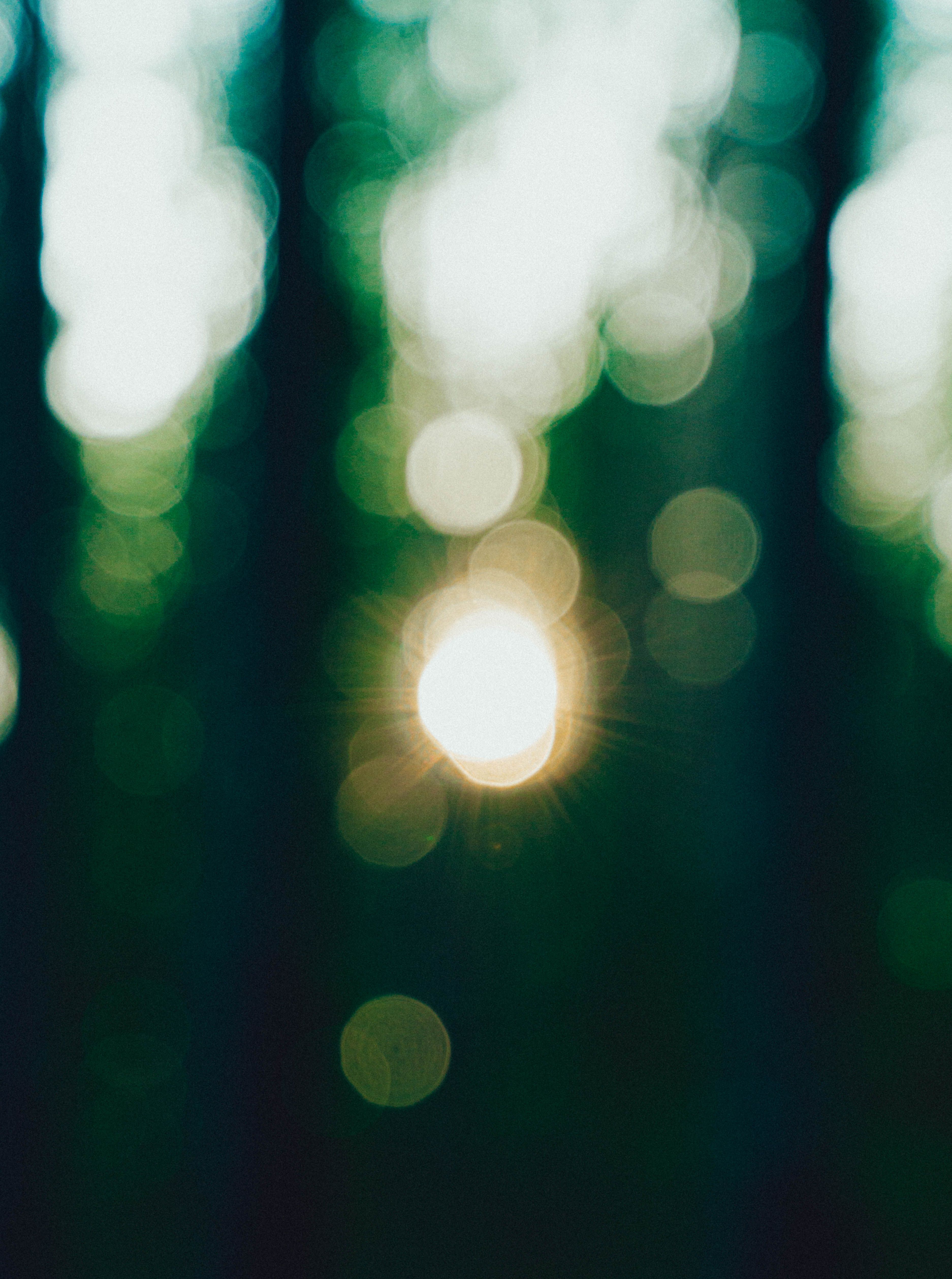 A Bokeh Effect · Free Stock Photo