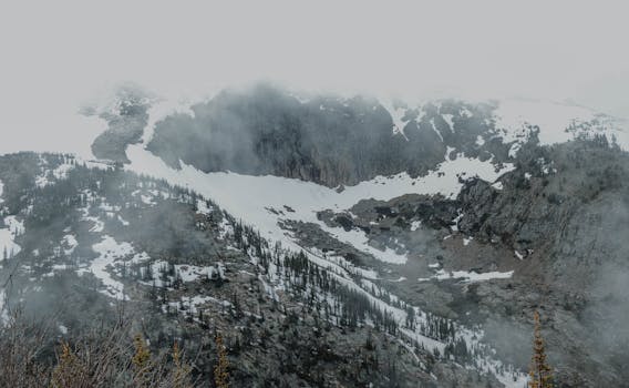 A serene view of the snow-covered Rocky Mountains shrouded in fog.
