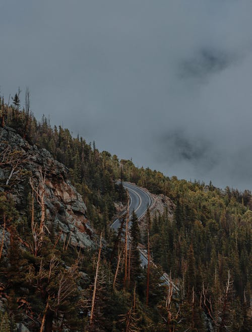 A Road Leading up the Hill