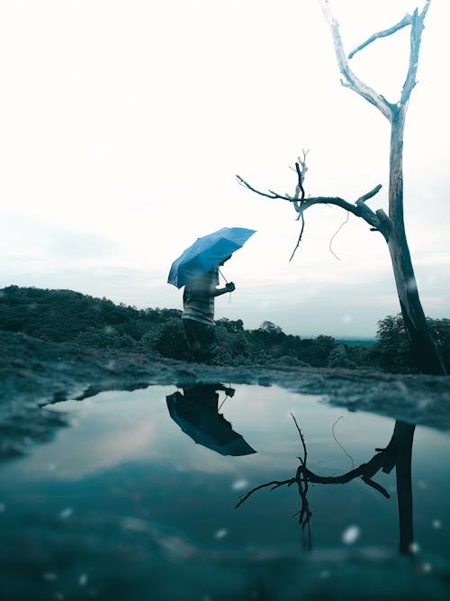 Fotobanka s bezplatnými fotkami na tému človek, dážď, daždivý