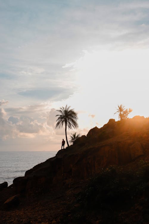Silhouetted Cliff and Palm Trees on the Shore at Sunset 