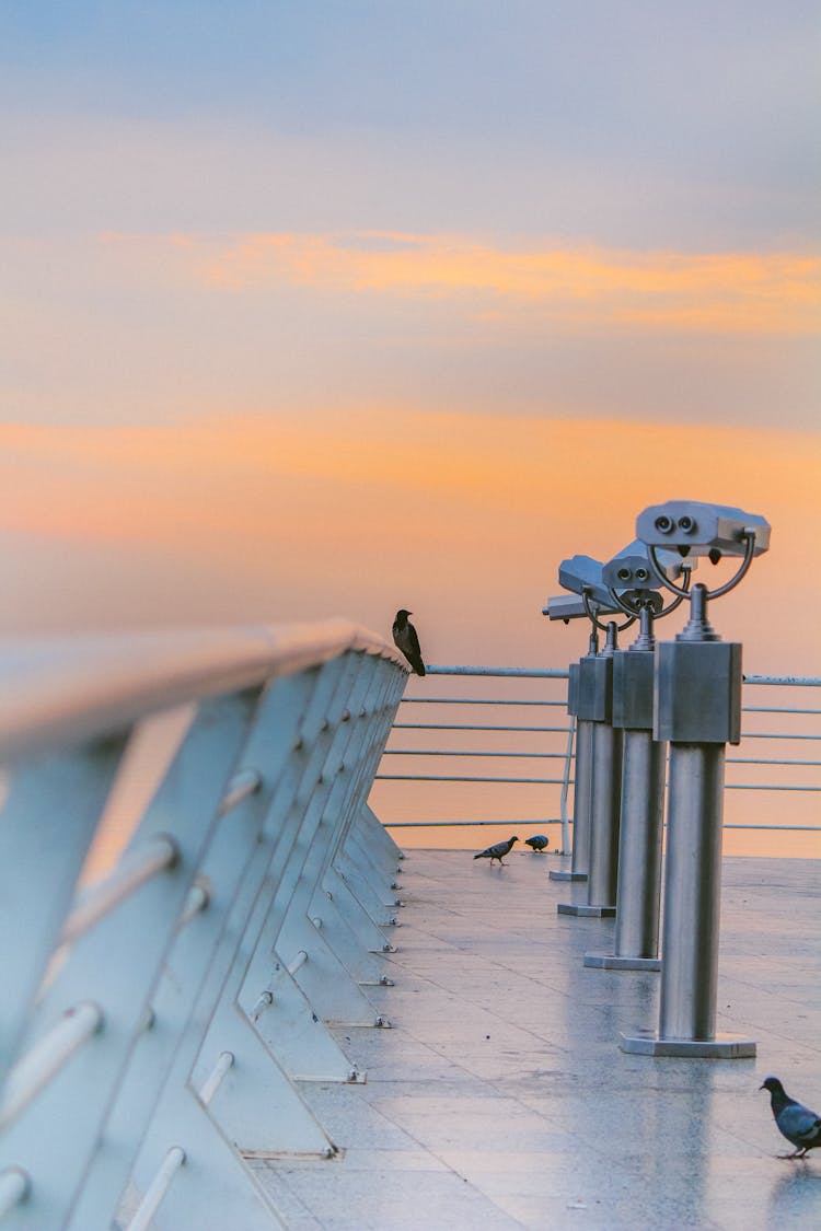 Public Binoculars In Seaside