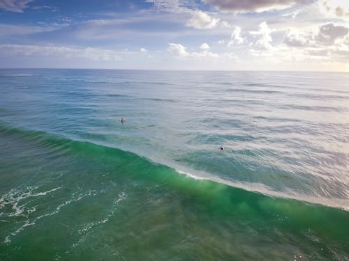 Aerial Photo of People Swimming in Sea