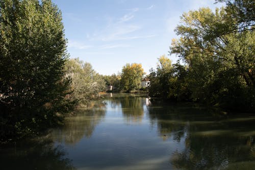 Kostenloses Stock Foto zu außerorts, bäume, dorf