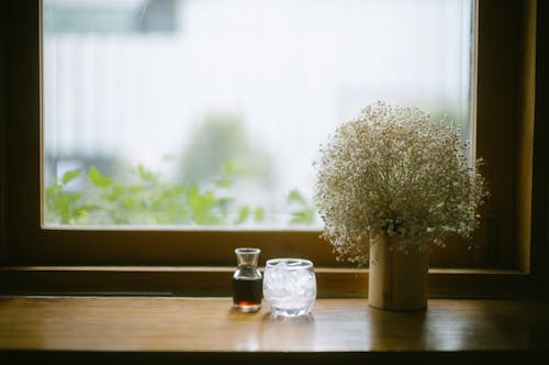 Plant Next to a Window