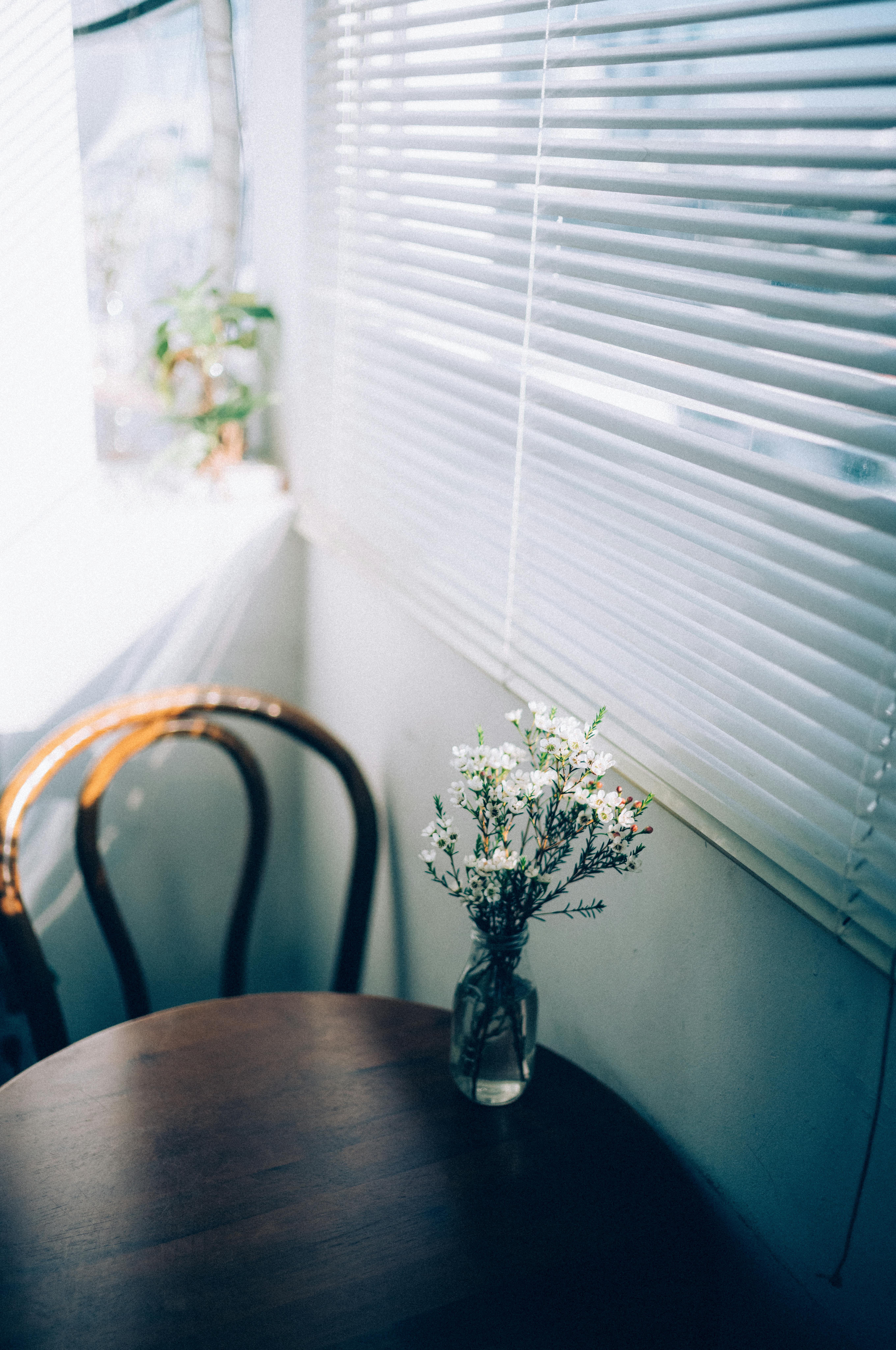 Free Charming vase of flowers on a wooden table by a window with blinds in a sunlit room. Stock Photo