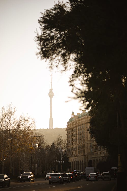 Imagine de stoc gratuită din arbori, autoturisme, Berlin