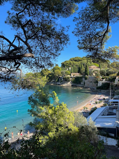 Trees and Town in Bay on Sea Shore