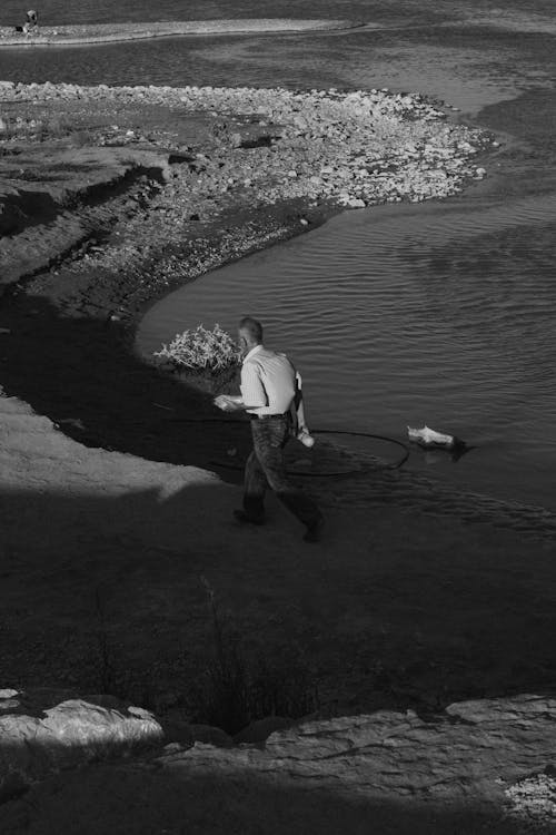 Fotos de stock gratuitas de blanco y negro, caminando, camino de tierra