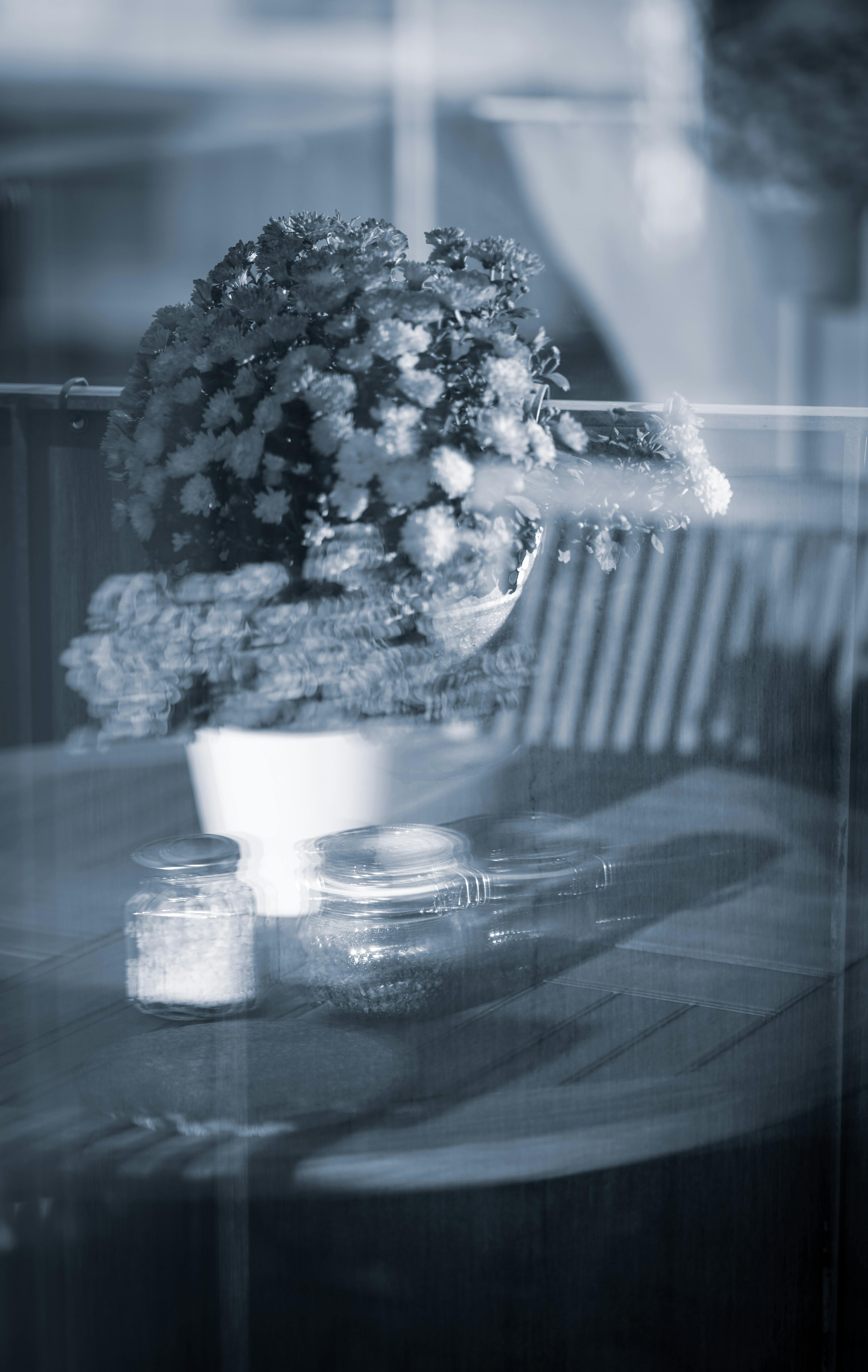Free A blurred black and white photo showcasing a floral arrangement reflected on glass with moody ambiance. Stock Photo