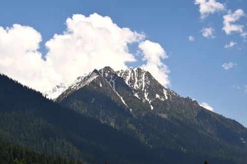 Free Breathtaking view of a snow-capped mountain peak under a clear blue sky and lush green forest. Stock Photo