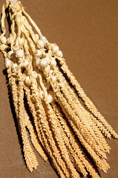 Bundle of Thin Ropes Decoration