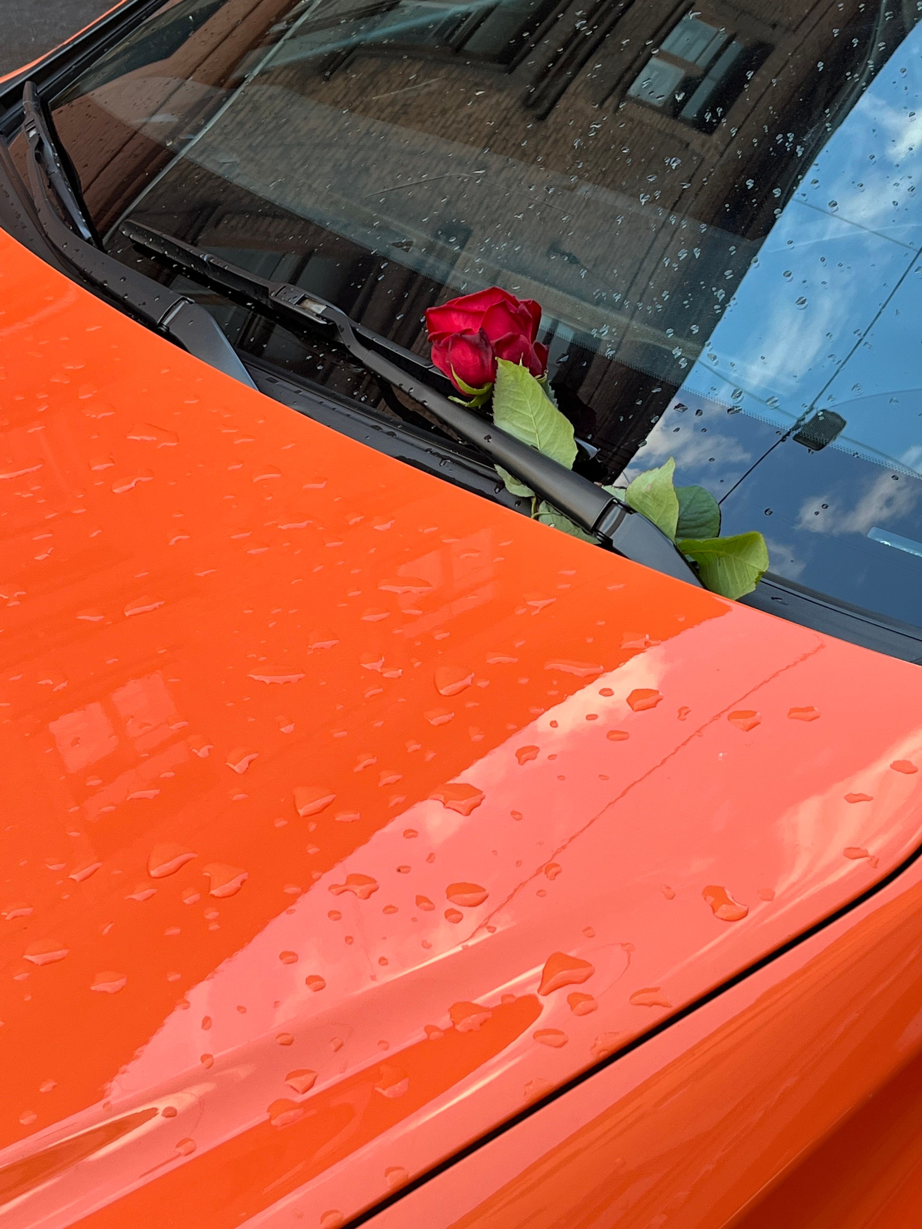 Water Beads Car Hood Photos, Download The BEST Free Water Beads Car