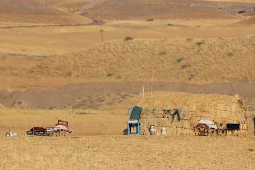 Imagine de stoc gratuită din arid, atrăgător, deșert