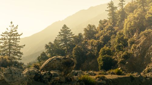 Free Peaceful sunrise over rocky terrain and lush trees at Forest Falls, California. Stock Photo