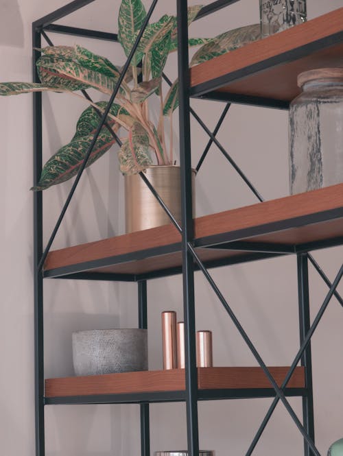 Shelves with Potted Plant and Decoration