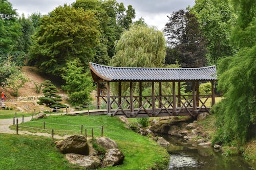 Fotobanka s bezplatnými fotkami na tému lávka, lávky, park