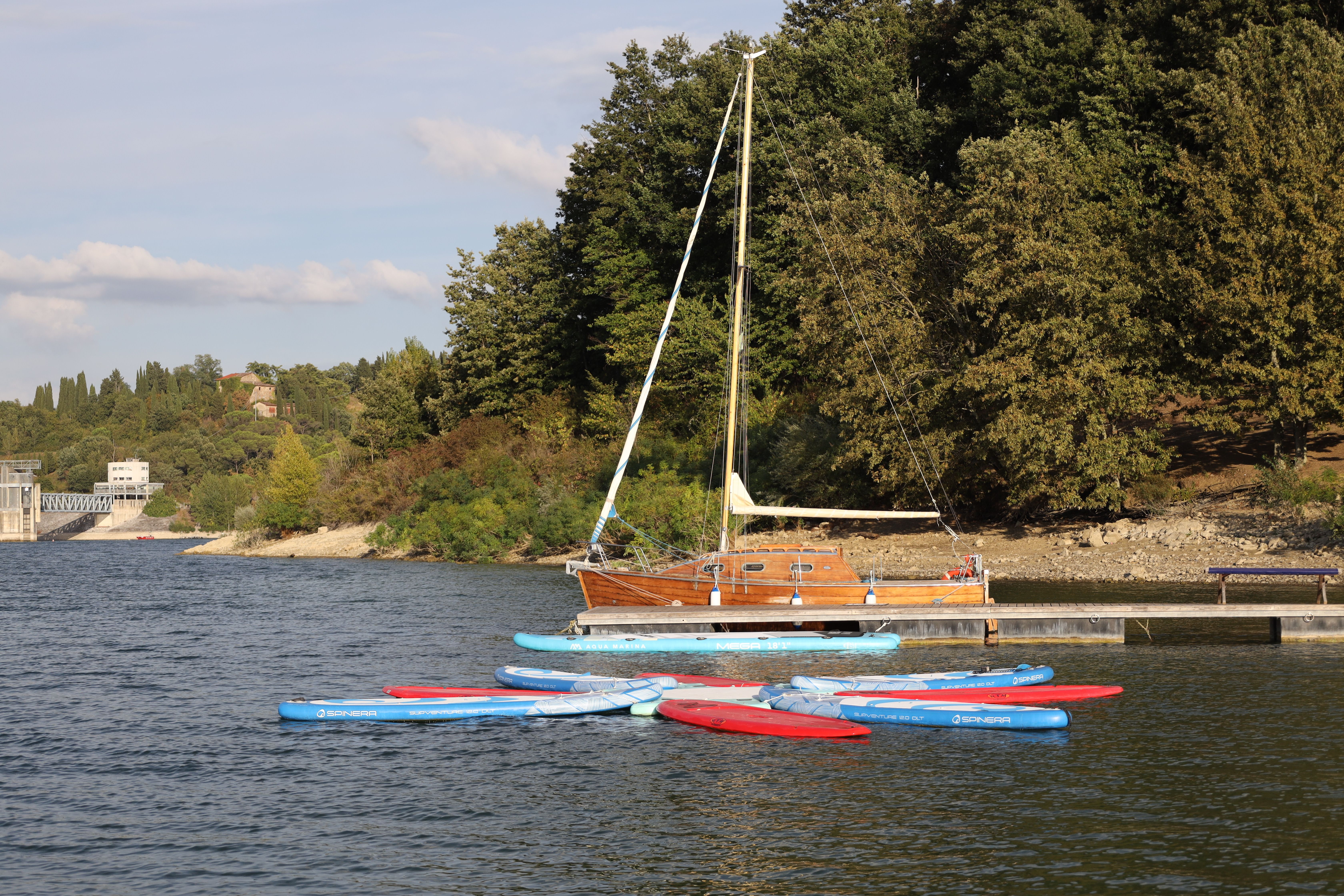 Paddle Boards and Sailboat on Lakeshore · Free Stock Photo