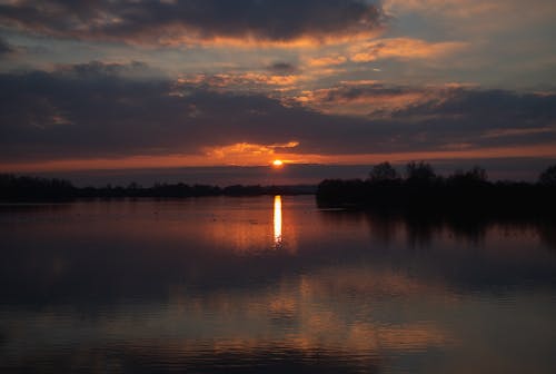 Free stock photo of abberton, body of water, golden hour