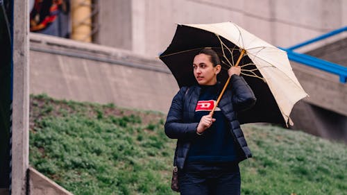 Fotobanka s bezplatnými fotkami na tému dáždnik, držanie, mestský