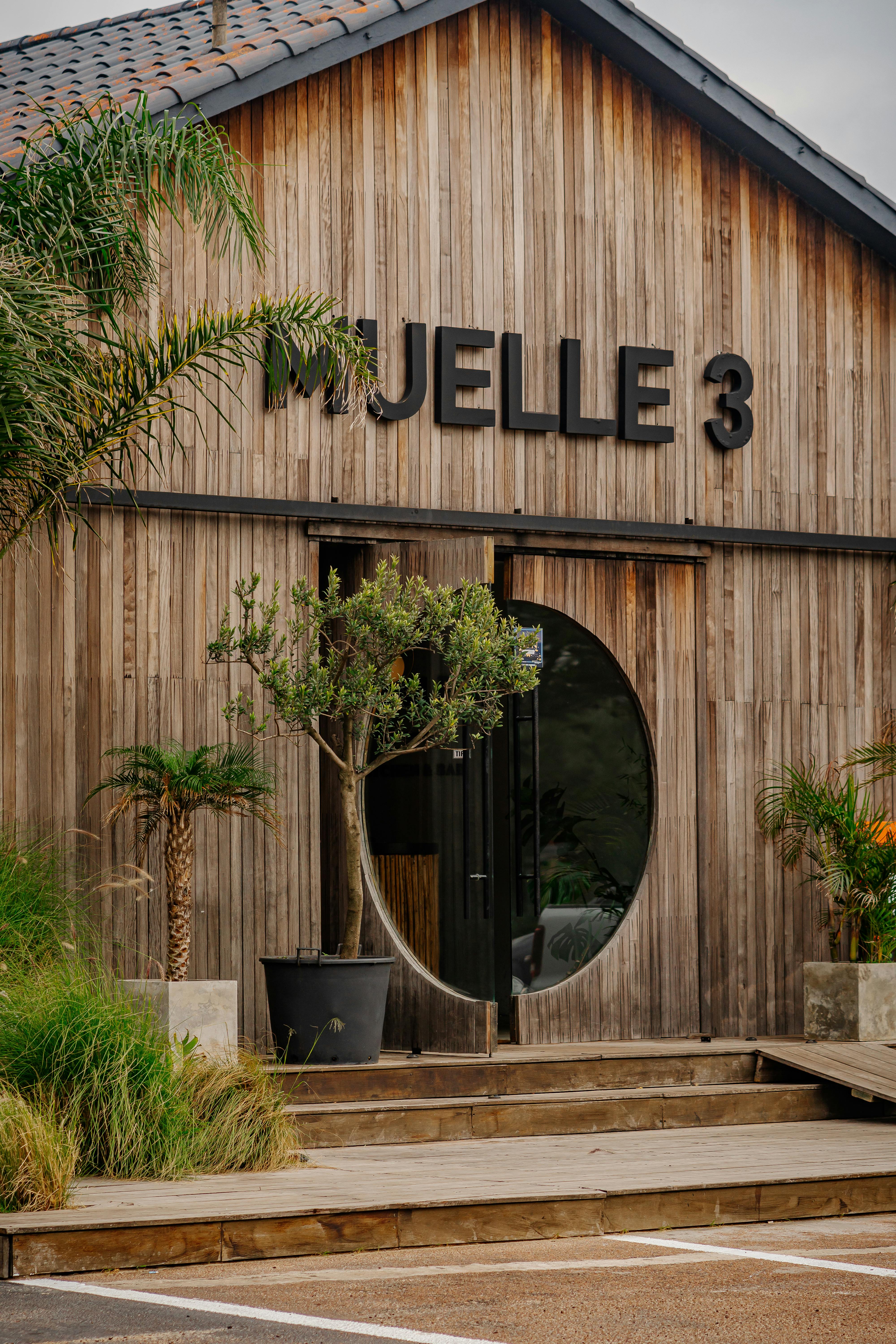 5 Letras Griegas que Transformarán Tu Comprensión del Futuro