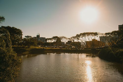 クリチバ, ラグーン, 植物園の無料の写真素材