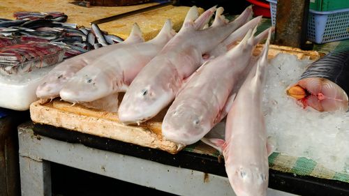 Free stock photo of green curry with seafood, hamachi yellowtail fish, maguro tuna Stock Photo