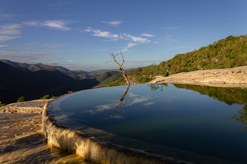 Foto profissional grátis de árvore, cenário, floresta