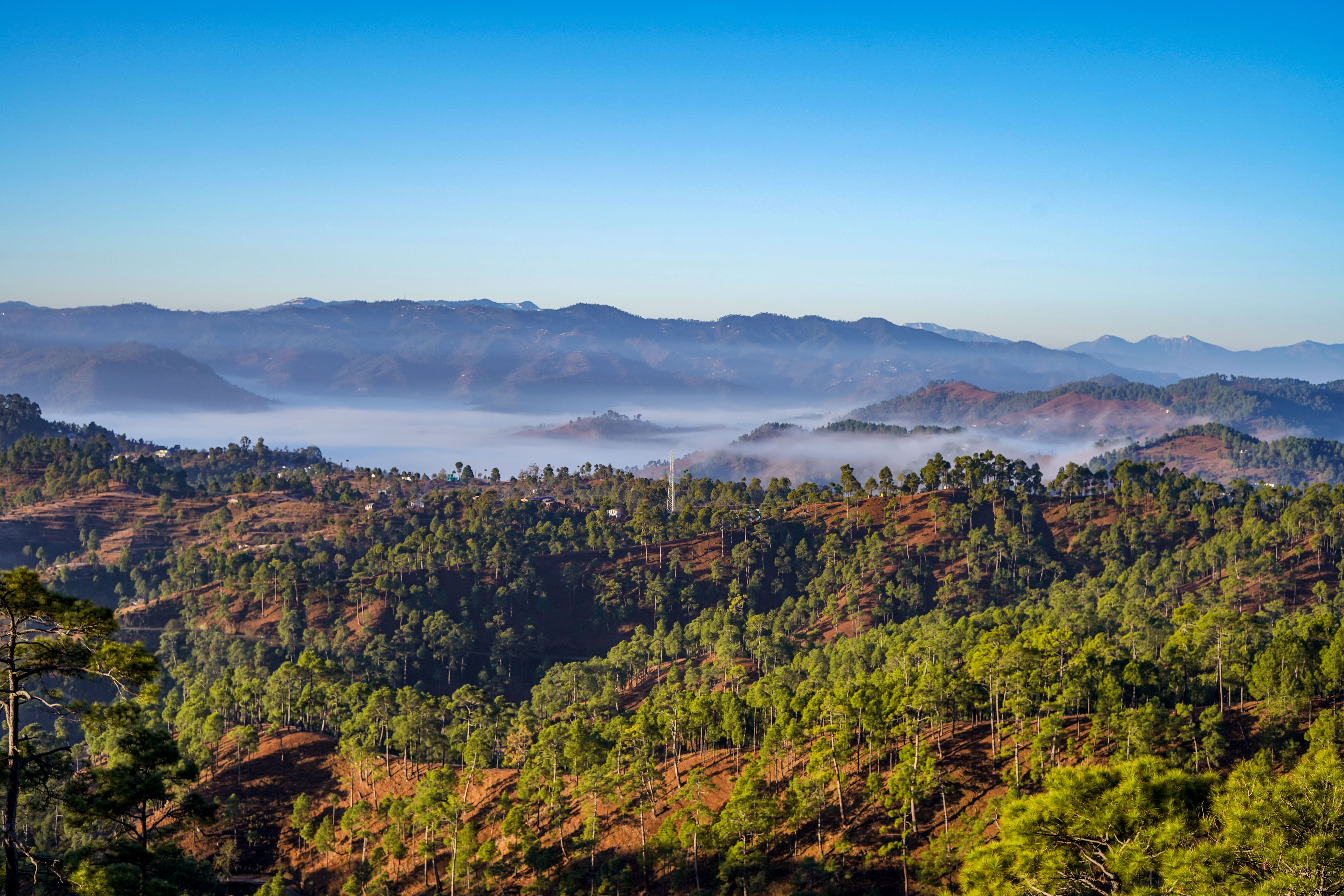 Daringbadi — misty forested hills of Odisha