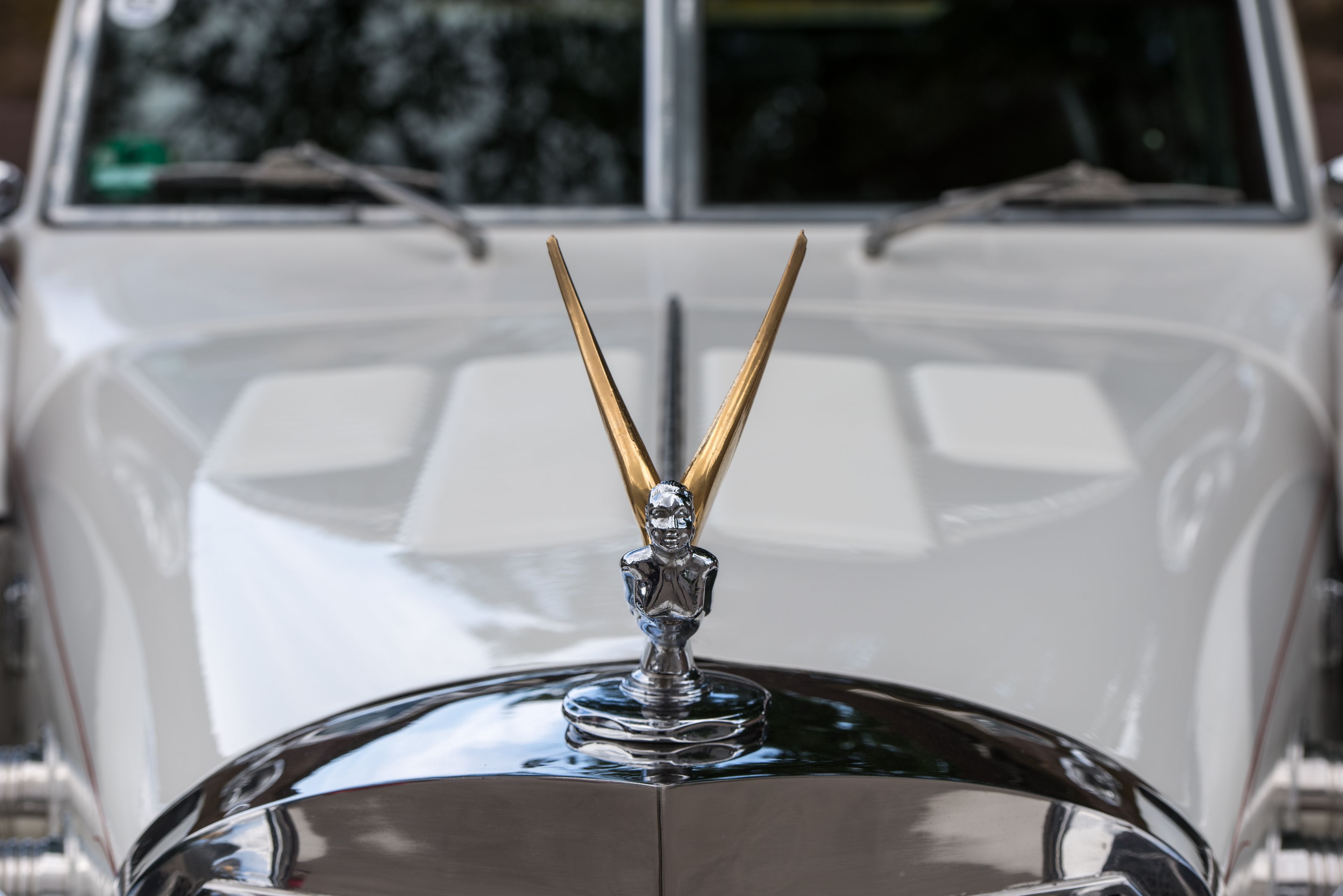 Rolls-Royce Ghost chauffeur driven car