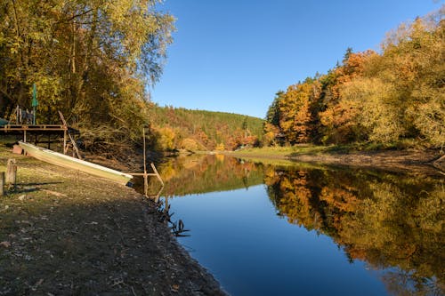 Landscape of a River with the Trees at Fall Time