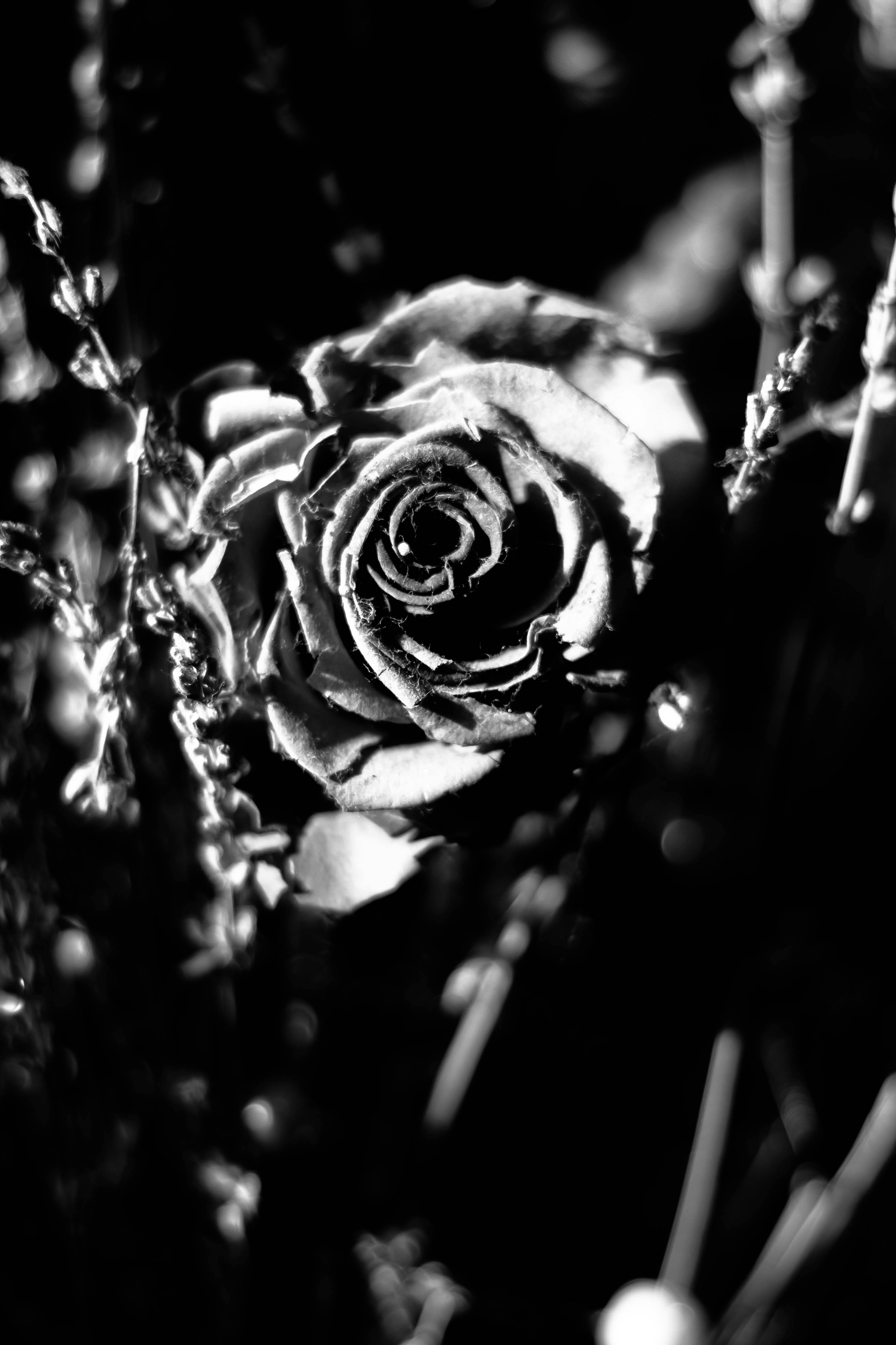 black and white fake flowers