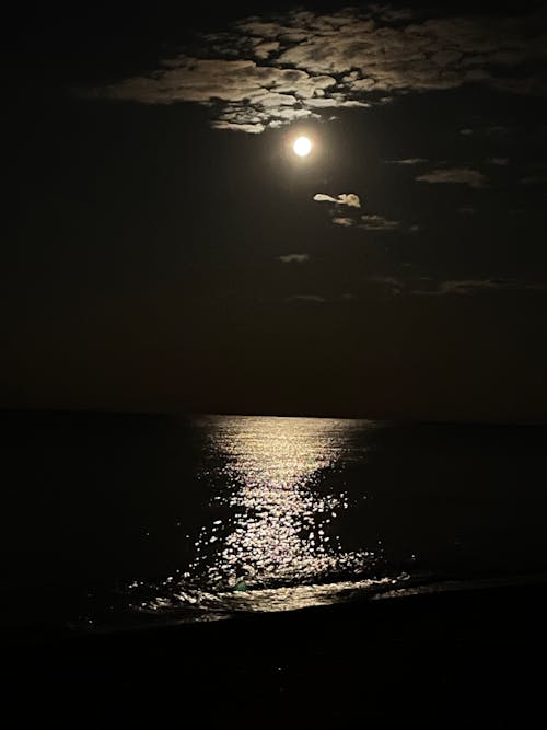 Moon over beach at night 