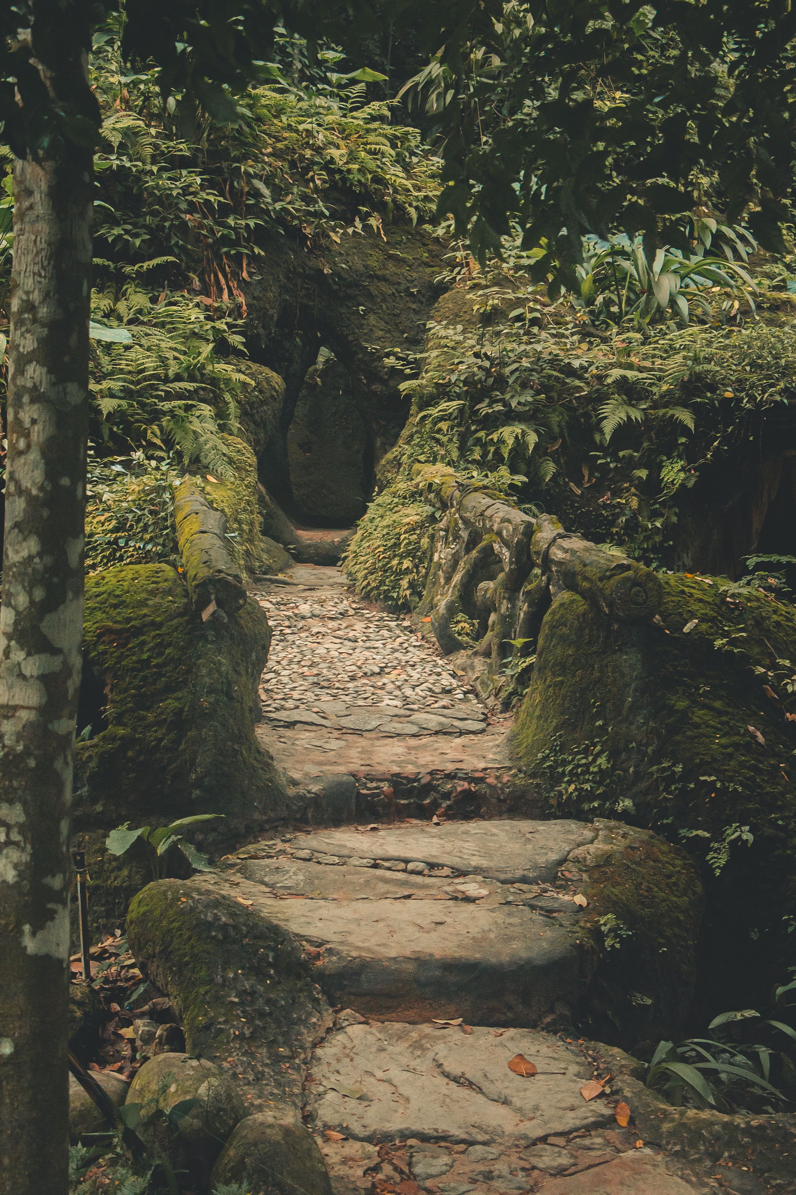 Stone Alley in Park · Free Stock Photo
