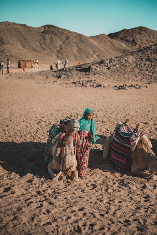 Camel Beside Child