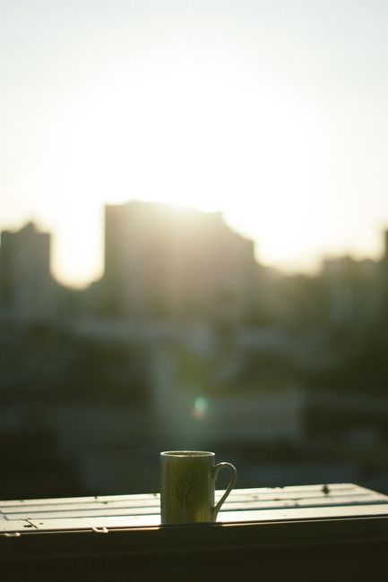 Cuo의 선택적 초점 사진