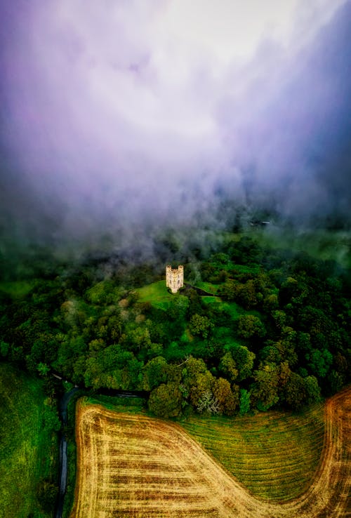 Foto profissional grátis de aerofotografia, árvores, castelo